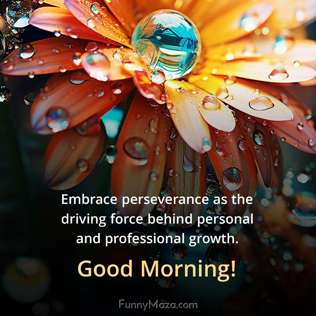 Embrace perseverance as the driving force behind personal and professional growth