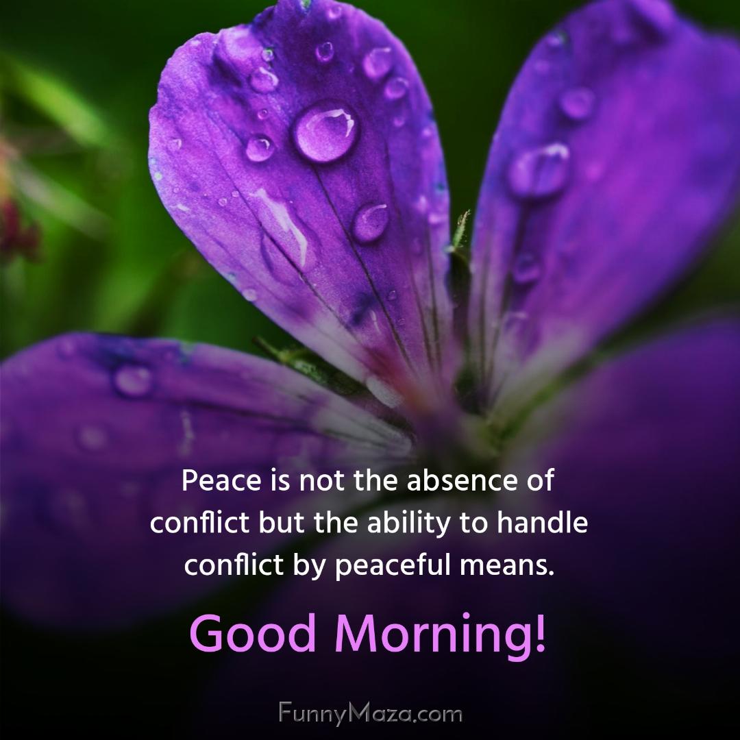 Peace is not the absence of conflict but the ability to