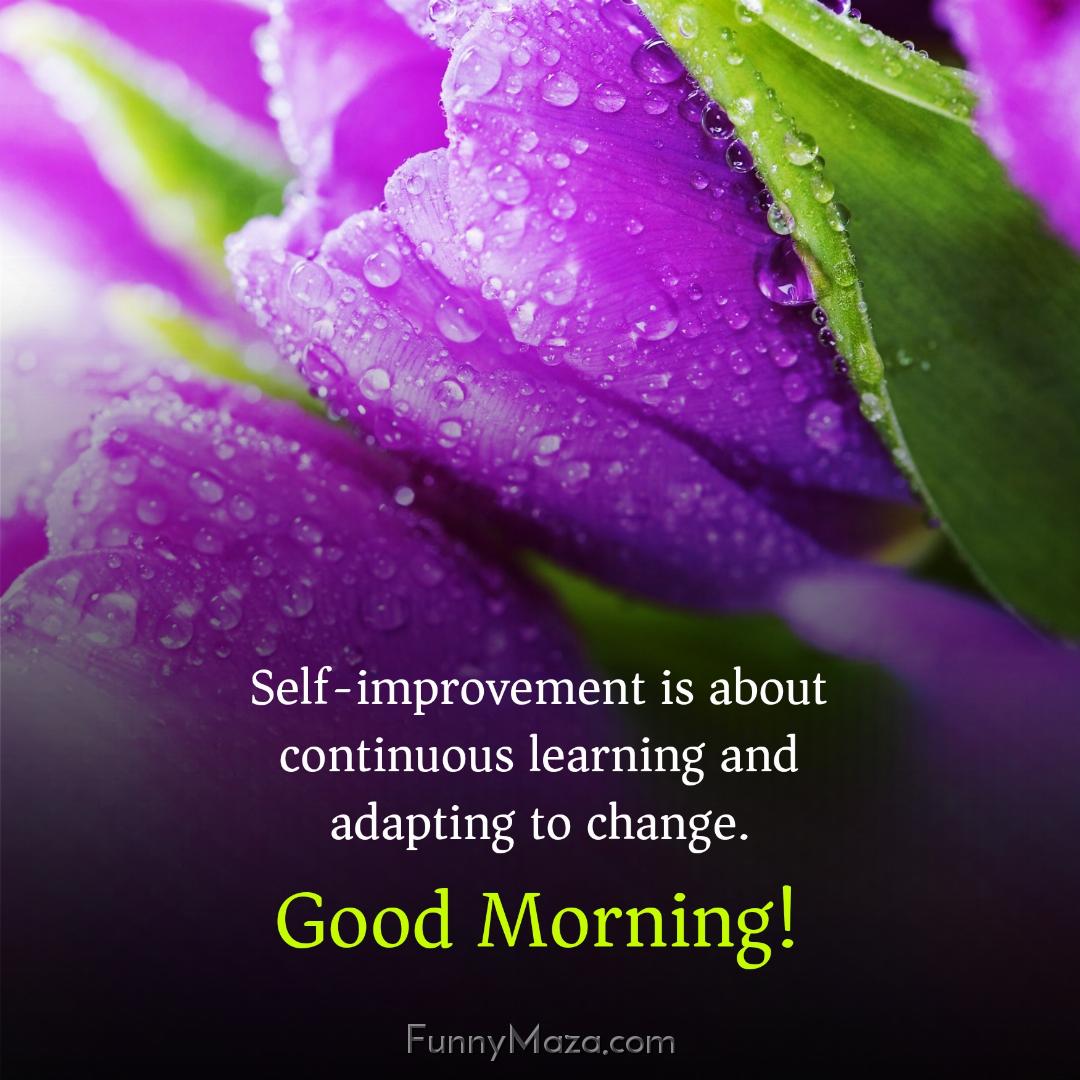 Self-improvement is about continuous learning and adapting to change