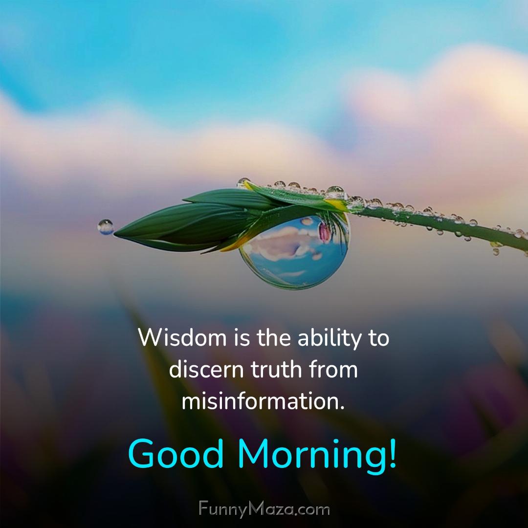 Wisdom is the ability to discern truth from misinformation