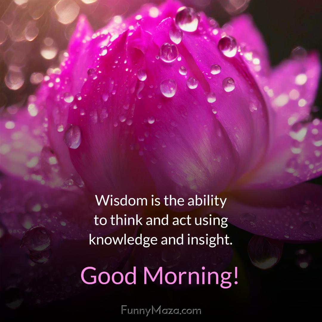 Wisdom is the ability to think and act using knowledge and