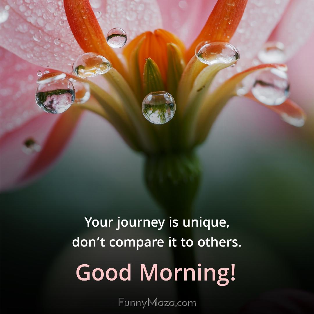 Your journey is unique don’t compare it to others