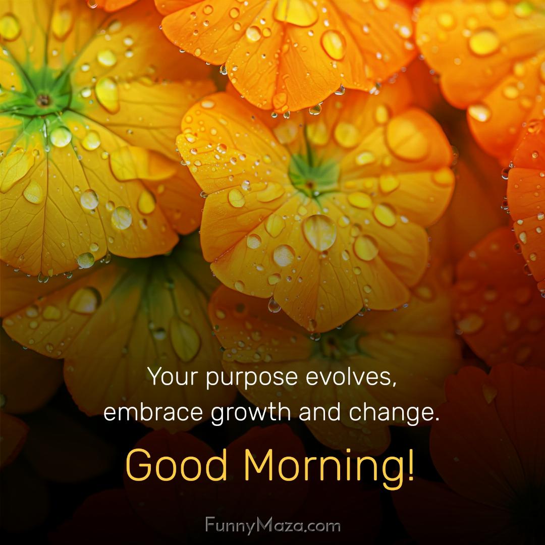 Your purpose evolves embrace growth and change