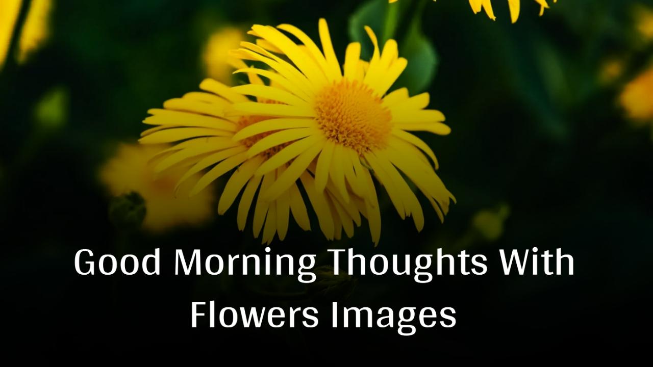 Good Morning Thoughts With Flowers Images