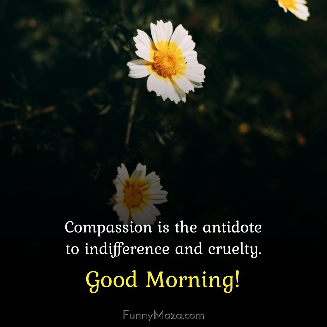 Compassion is the antidote to indifference and cruelty