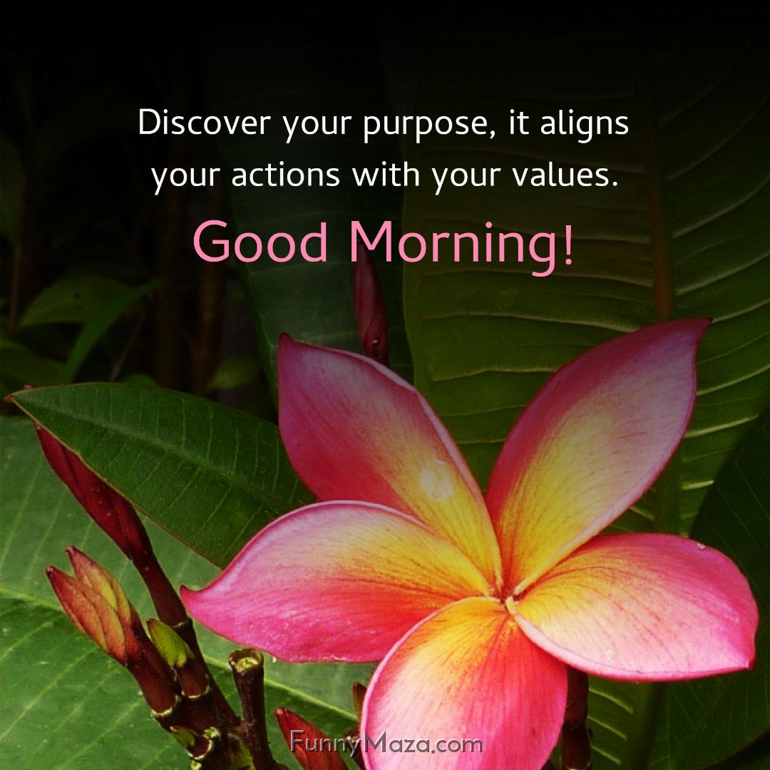 Discover your purpose it aligns your actions with your values