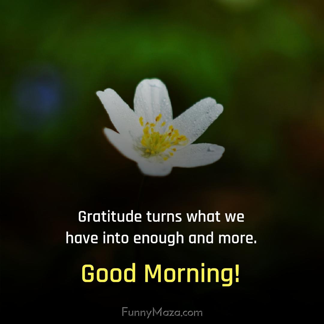 Gratitude turns what we have into enough and more