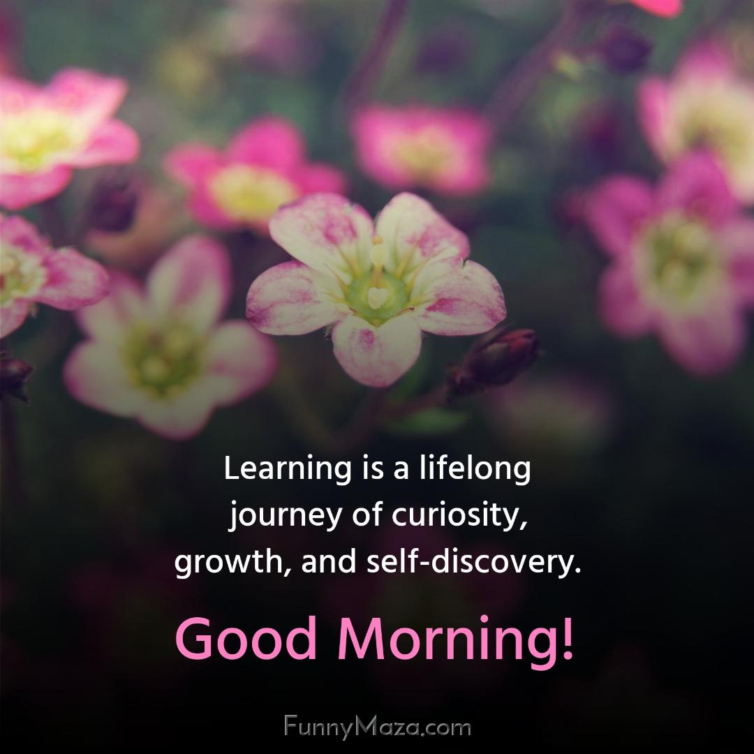 Learning is a lifelong journey of curiosity growth and self-discovery