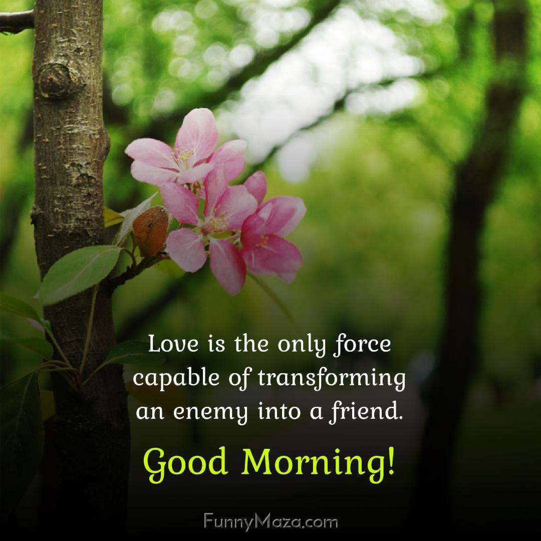 Love is the only force capable of transforming an enemy into