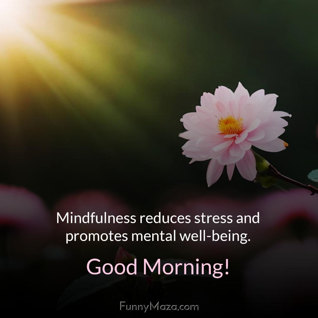 Mindfulness reduces stress and promotes mental well-being