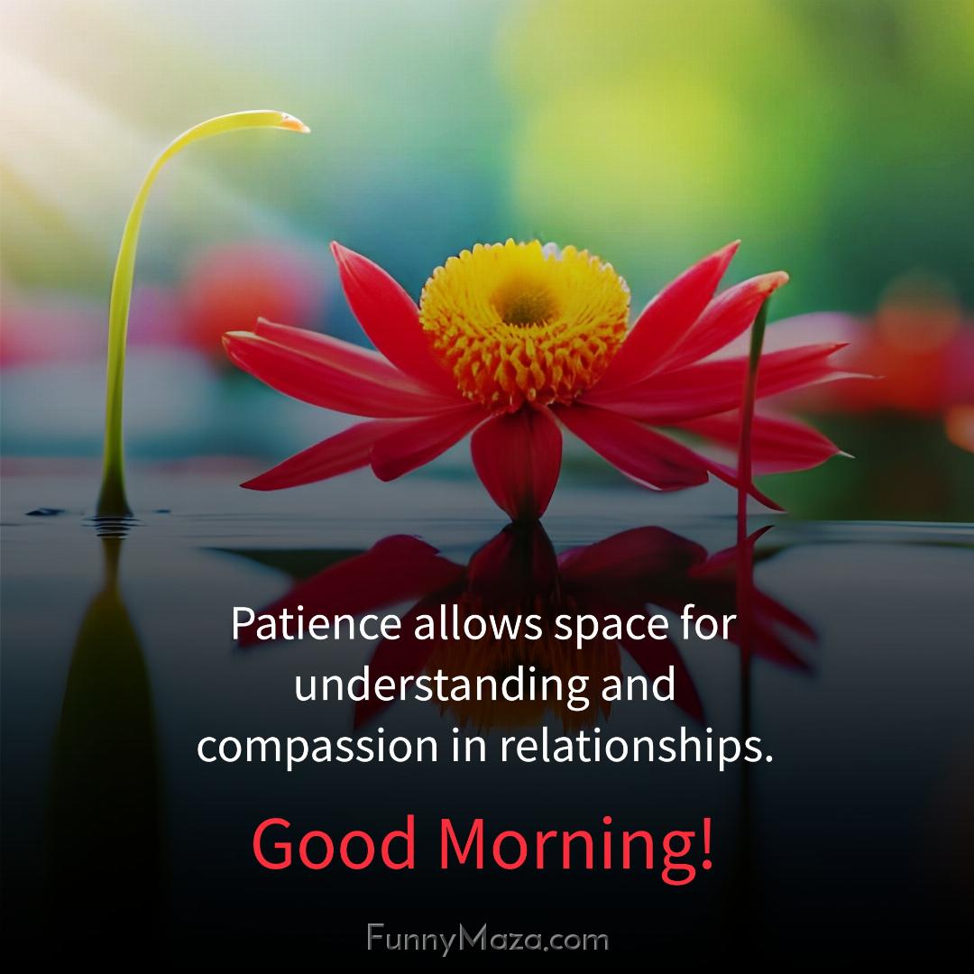 Patience allows space for understanding and compassion in relationships