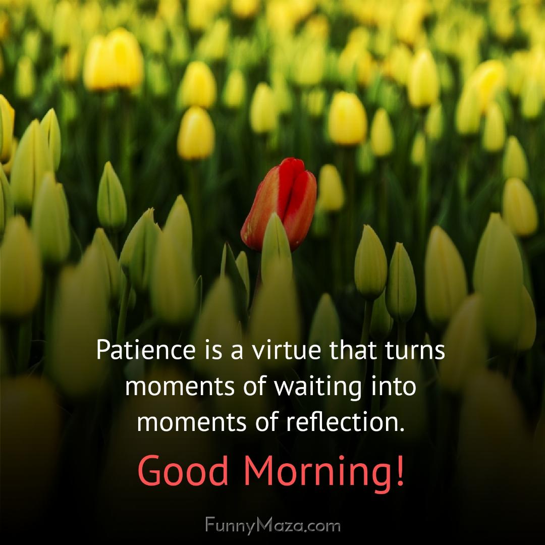 Patience is a virtue that turns moments of waiting into moments