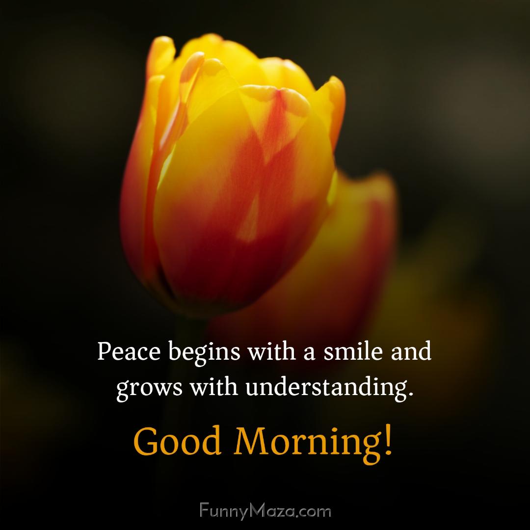 Peace begins with a smile and grows with understanding