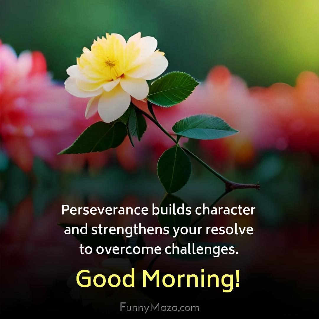 Perseverance builds character and strengthens your resolve to overcome challenges