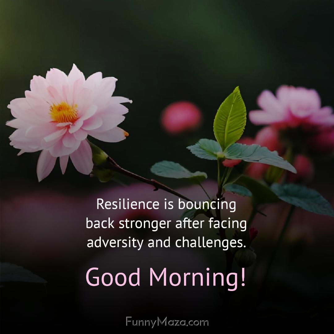 Resilience is bouncing back stronger after facing adversity and challenges