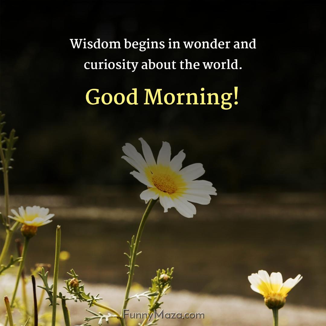 Wisdom begins in wonder and curiosity about the world