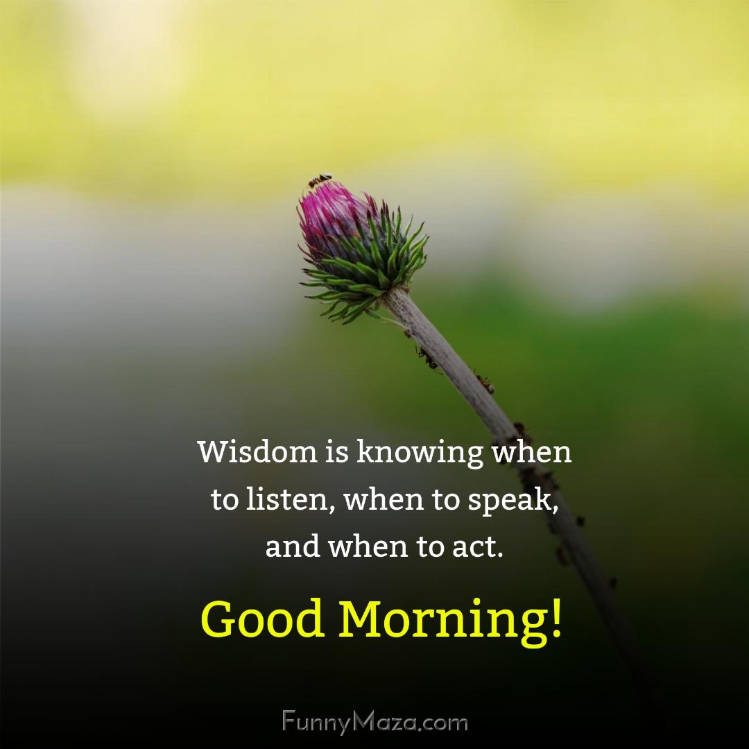 Wisdom is knowing when to listen when to speak and when