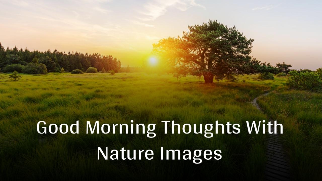 Good Morning Thoughts With Nature Images