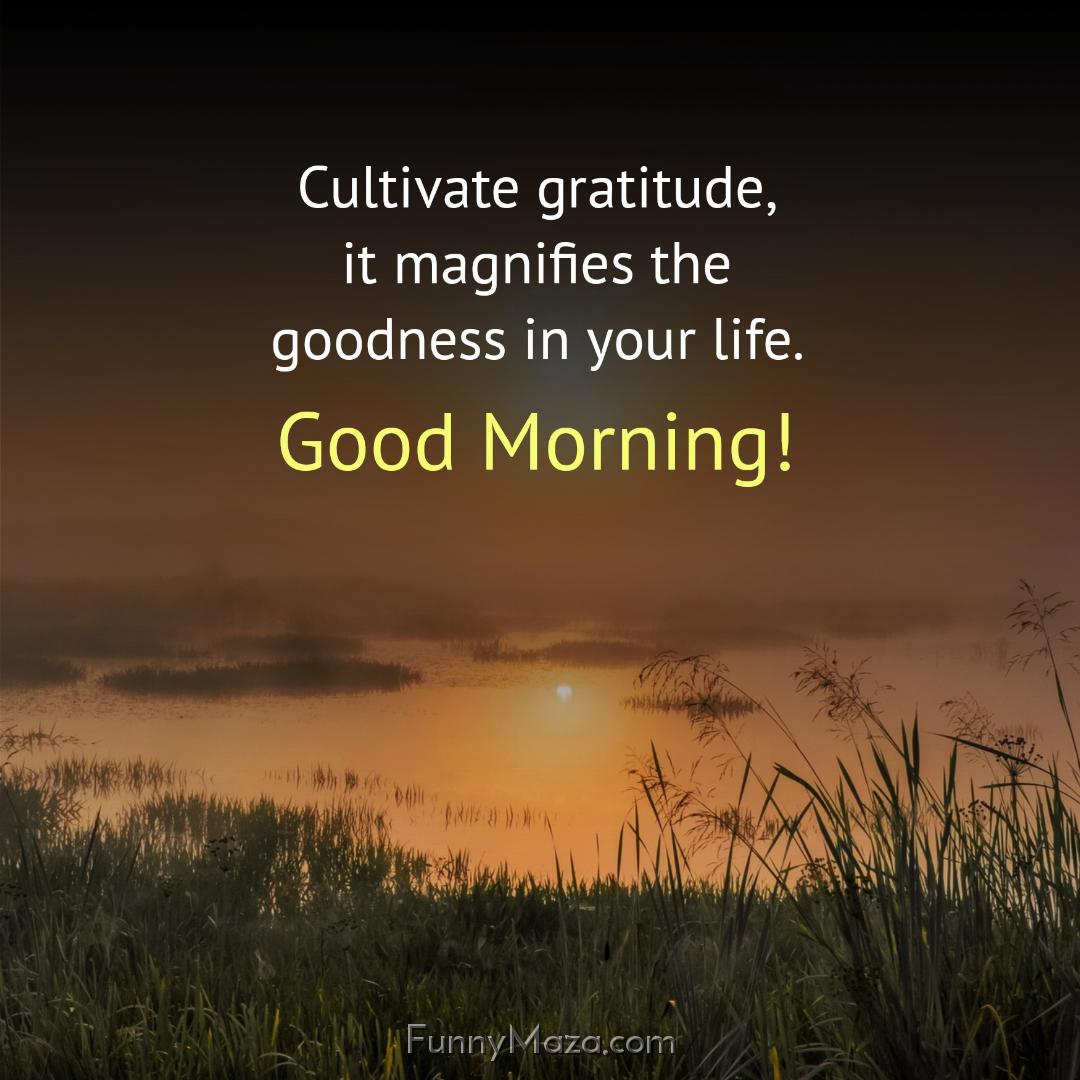 Cultivate gratitude it magnifies the goodness in your life