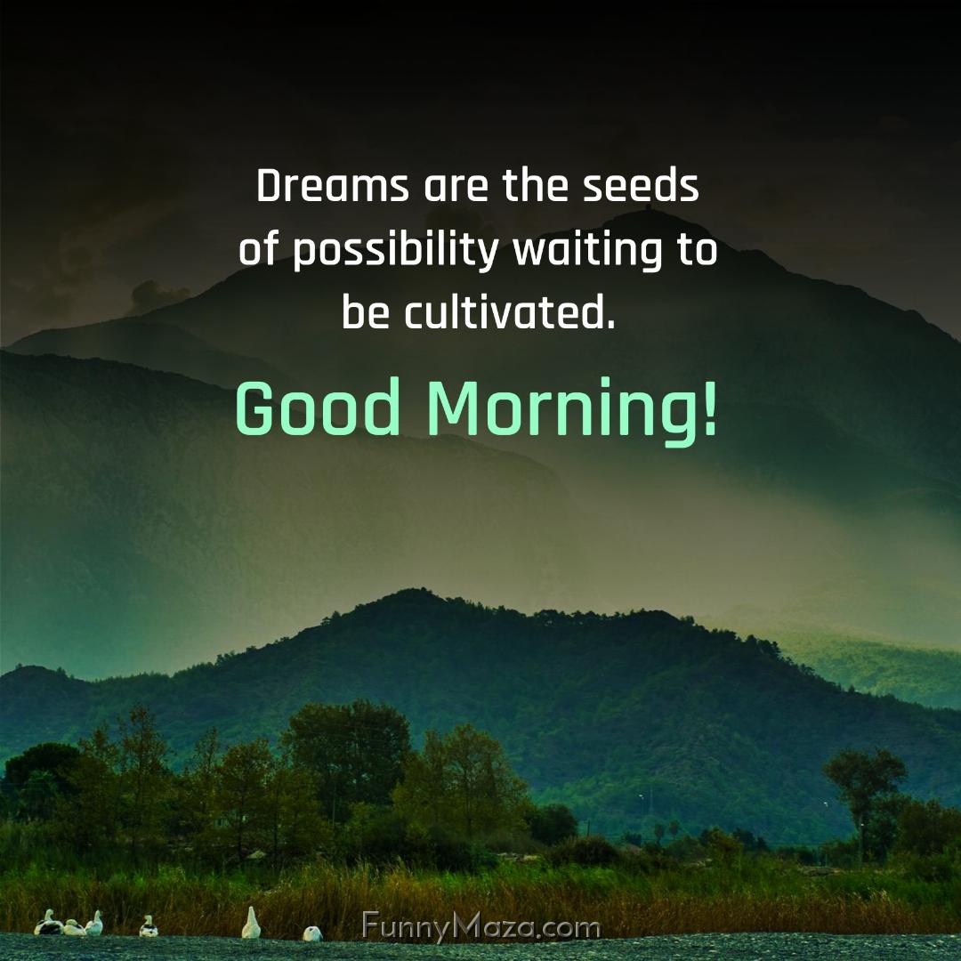 Dreams are the seeds of possibility waiting to be cultivated