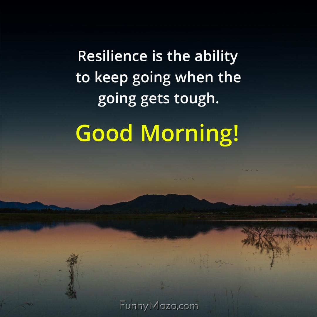 Resilience is the ability to keep going when the going gets