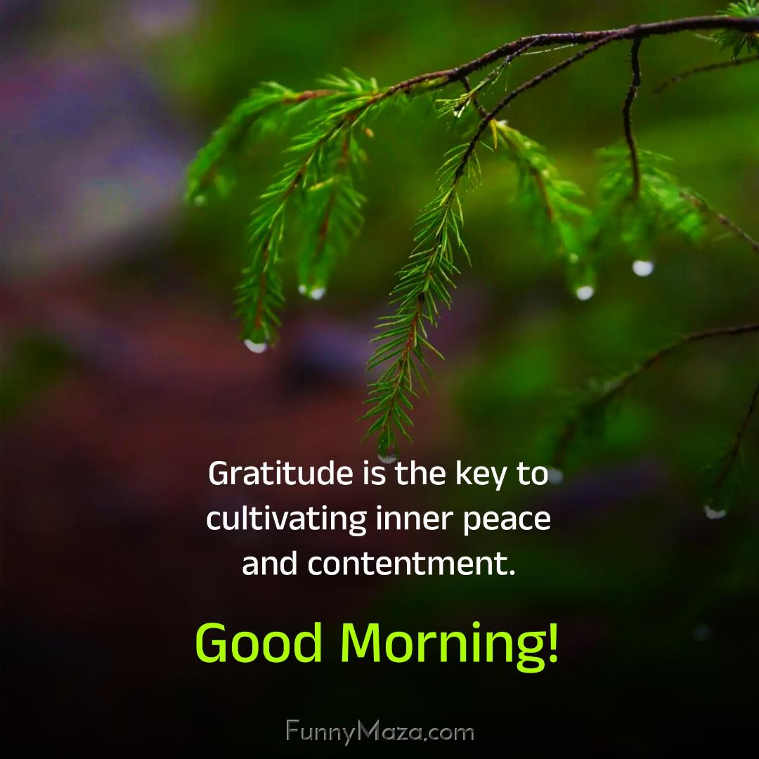 Gratitude is the key to cultivating inner peace and contentment