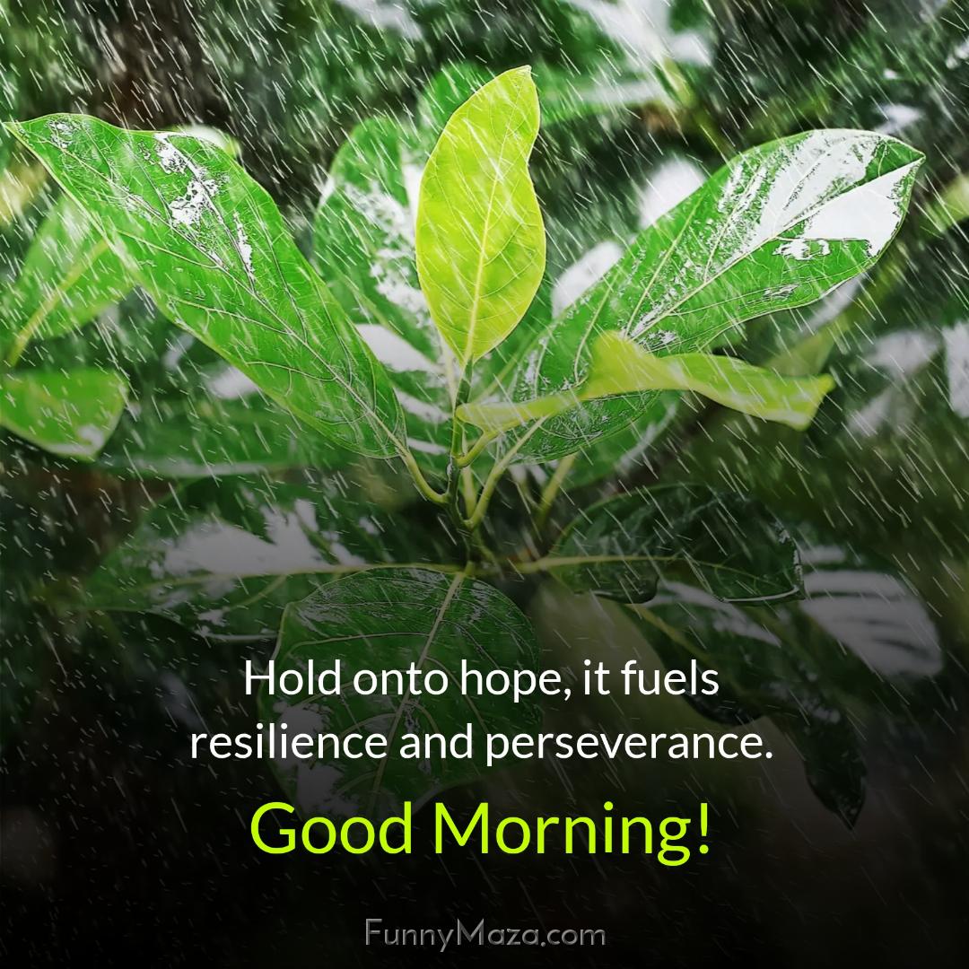 Hold onto hope it fuels resilience and perseverance