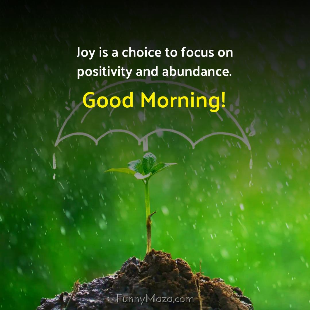 Joy is a choice to focus on positivity and abundance