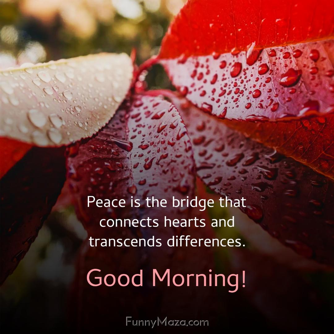 Peace is the bridge that connects hearts and transcends differences