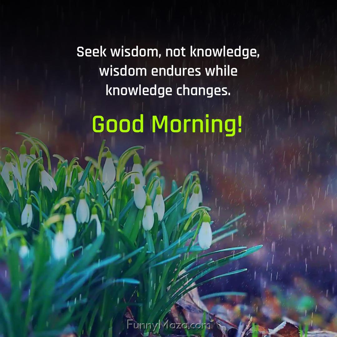 Seek wisdom not knowledge wisdom endures while knowledge changes