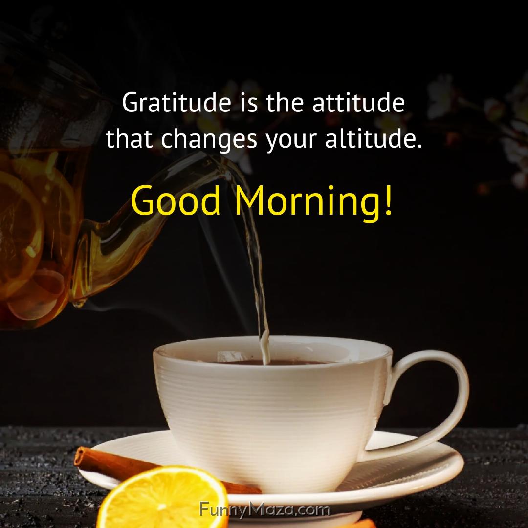 Gratitude is the attitude that changes your altitude