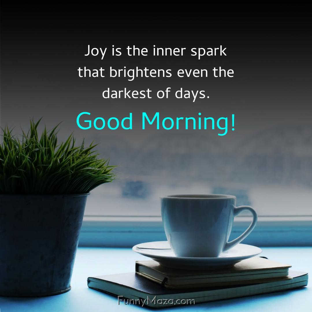 Joy is the inner spark that brightens even the darkest of