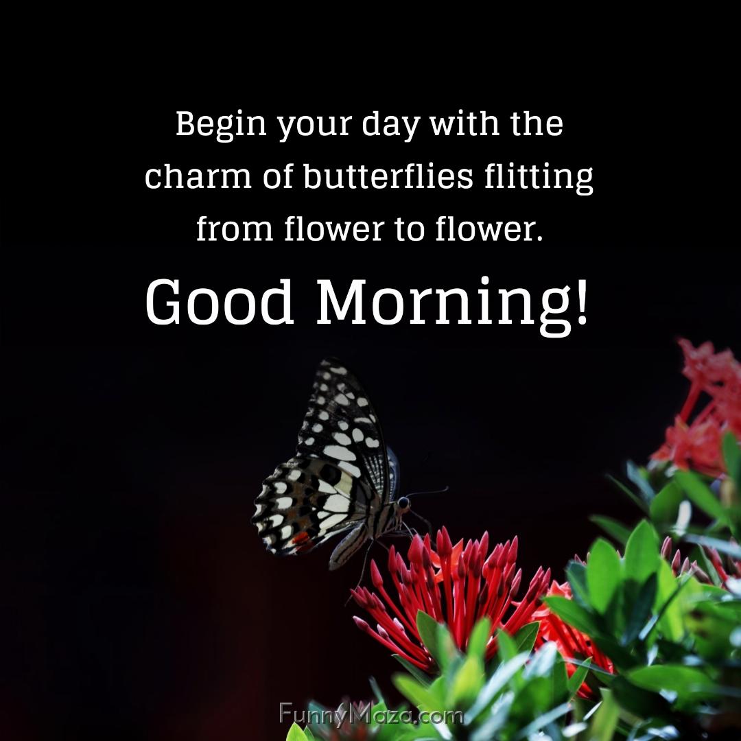 Begin your day with the charm of butterflies flitting from flower