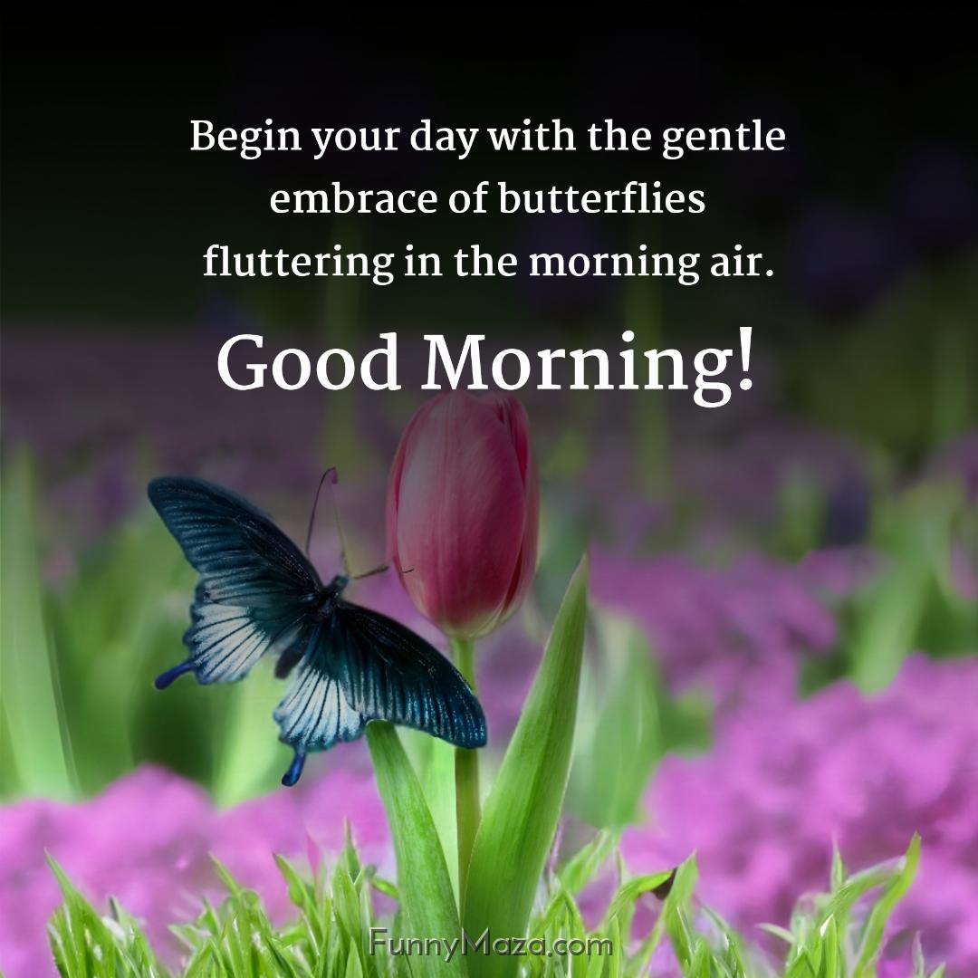 Begin your day with the gentle embrace of butterflies fluttering in