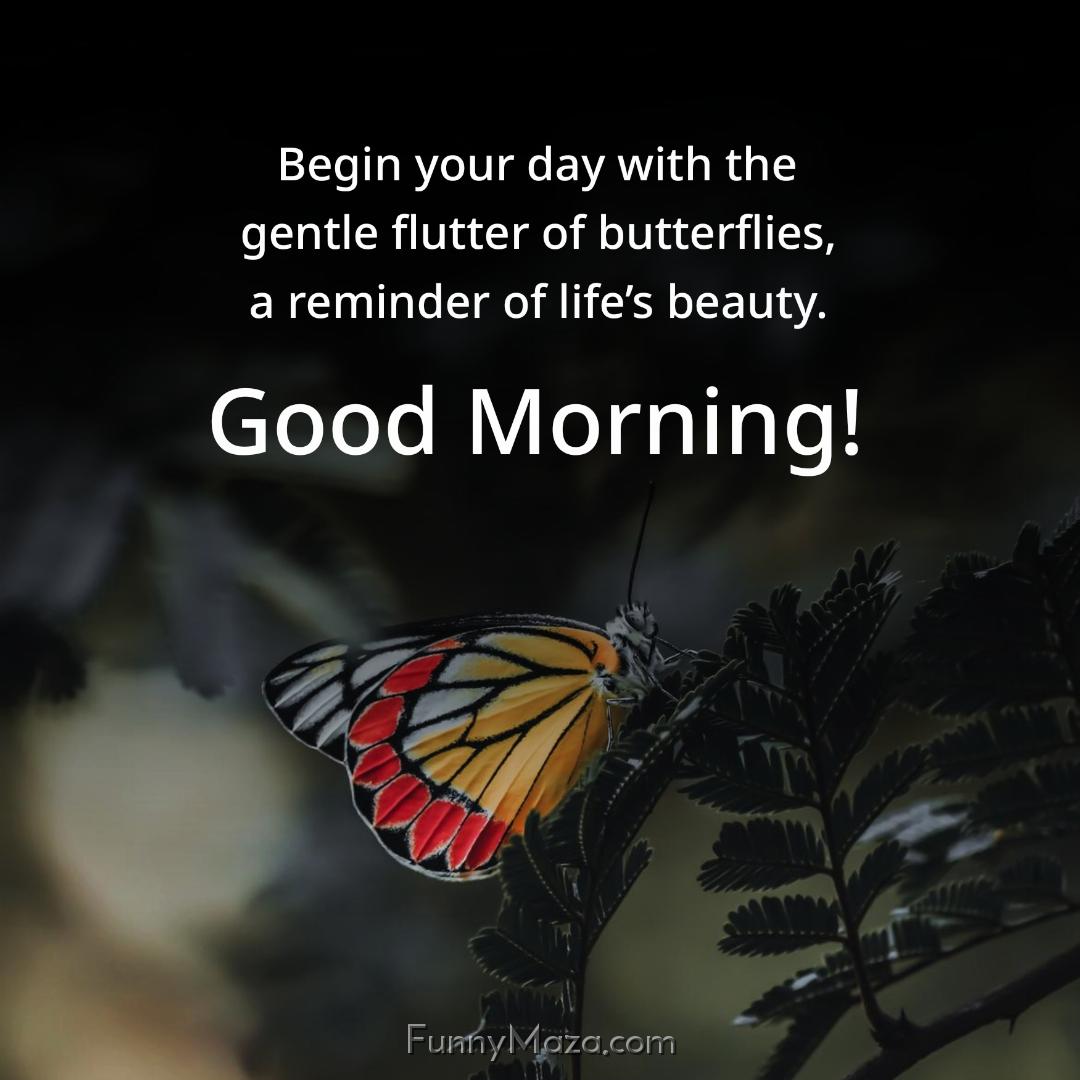 Begin your day with the gentle flutter of butterflies a reminder