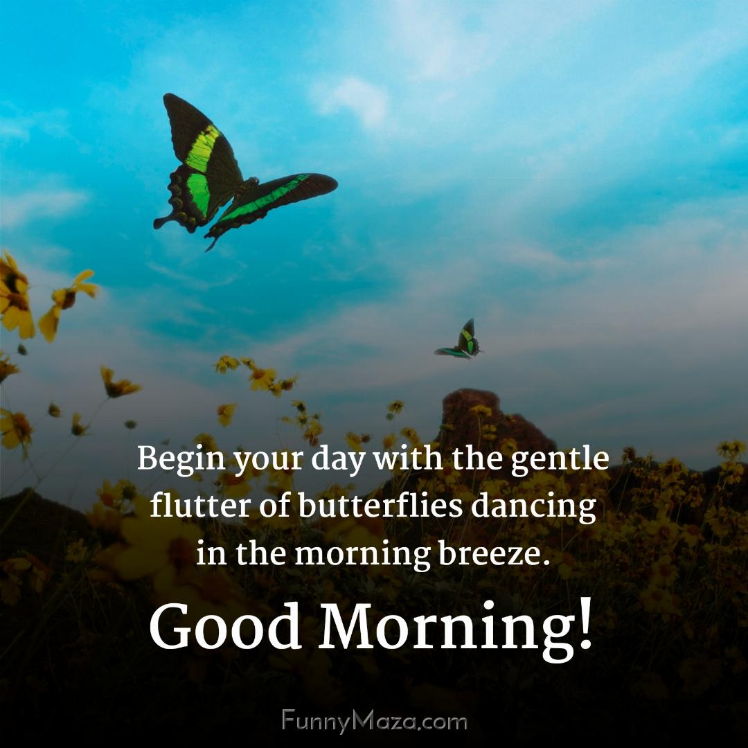 Begin your day with the gentle flutter of butterflies dancing in