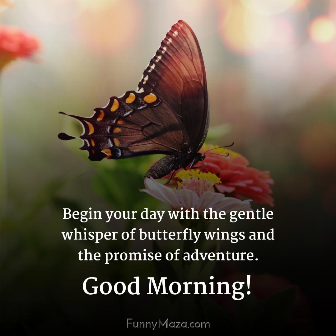 Begin your day with the gentle whisper of butterfly wings and