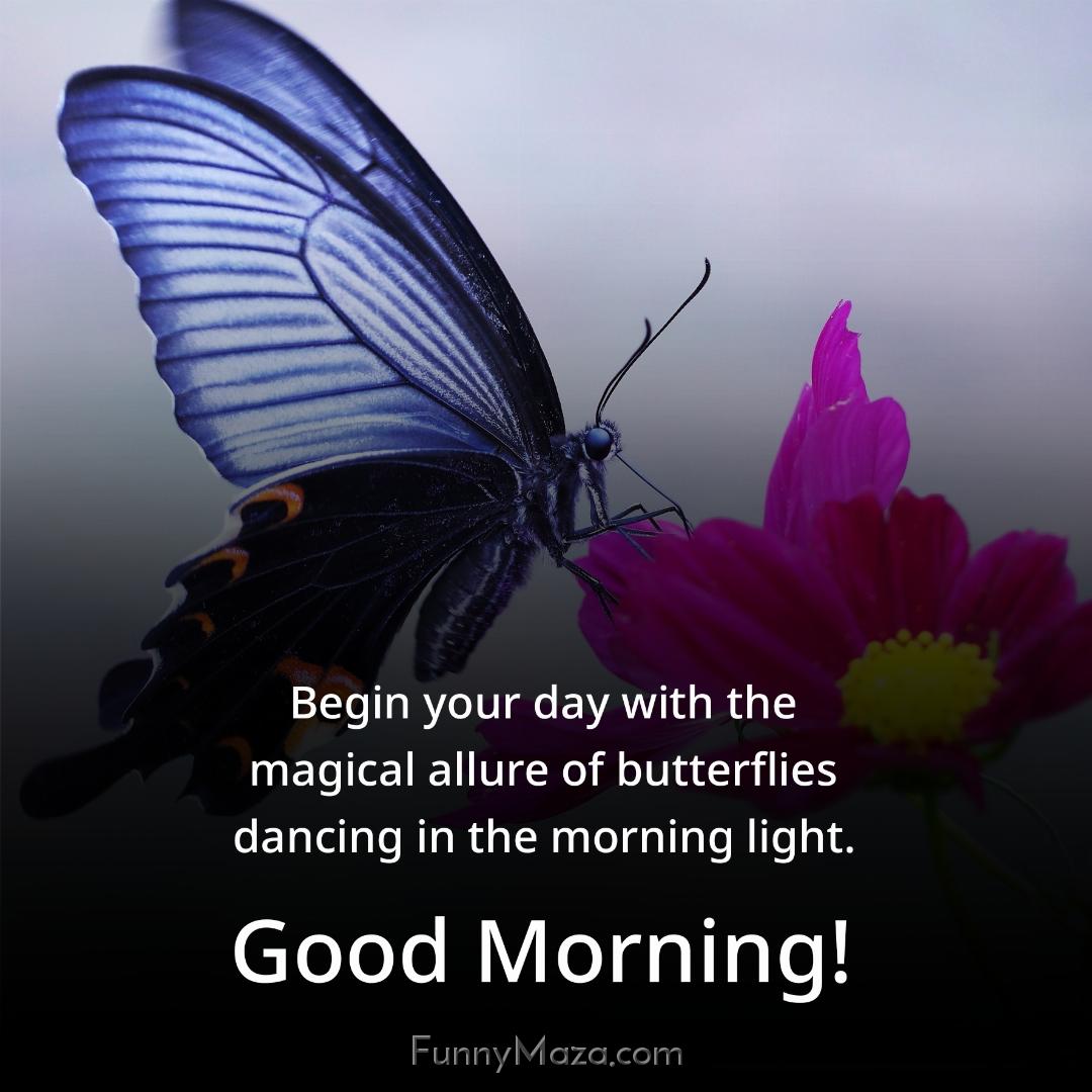 Begin your day with the magical allure of butterflies dancing in