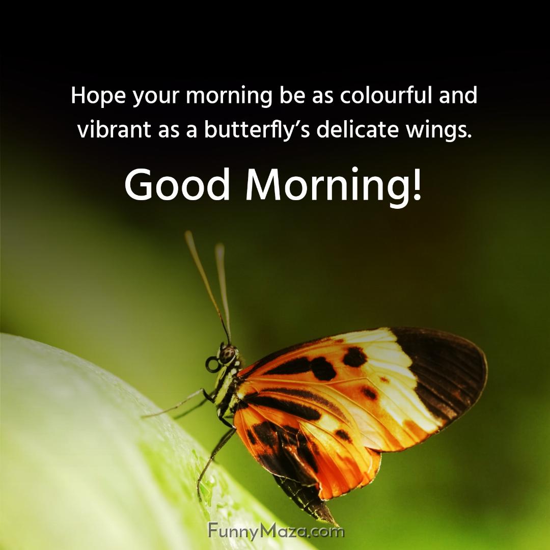 Hope your morning be as colourful and vibrant as a butterfly’s