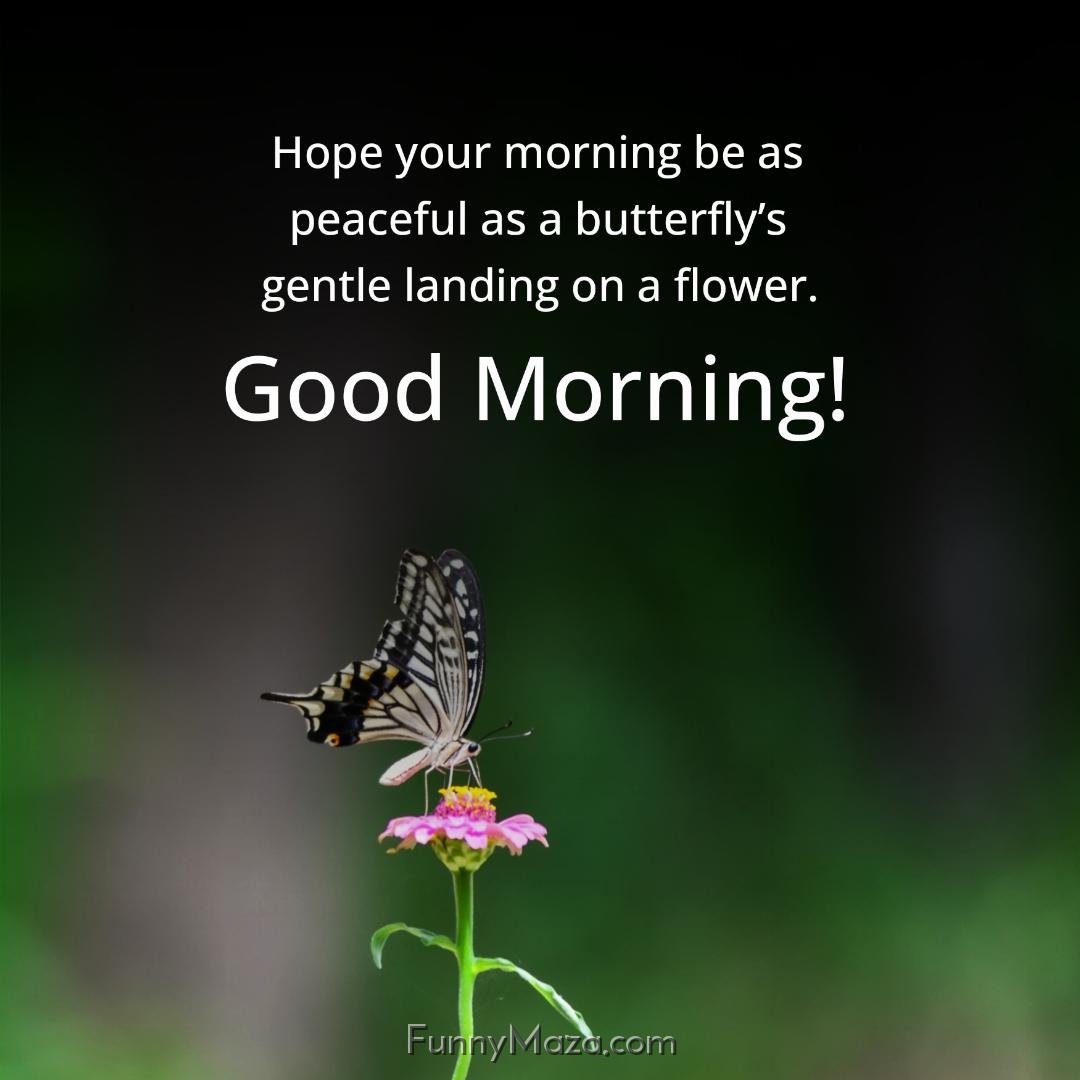 Hope your morning be as peaceful as a butterfly’s gentle landing