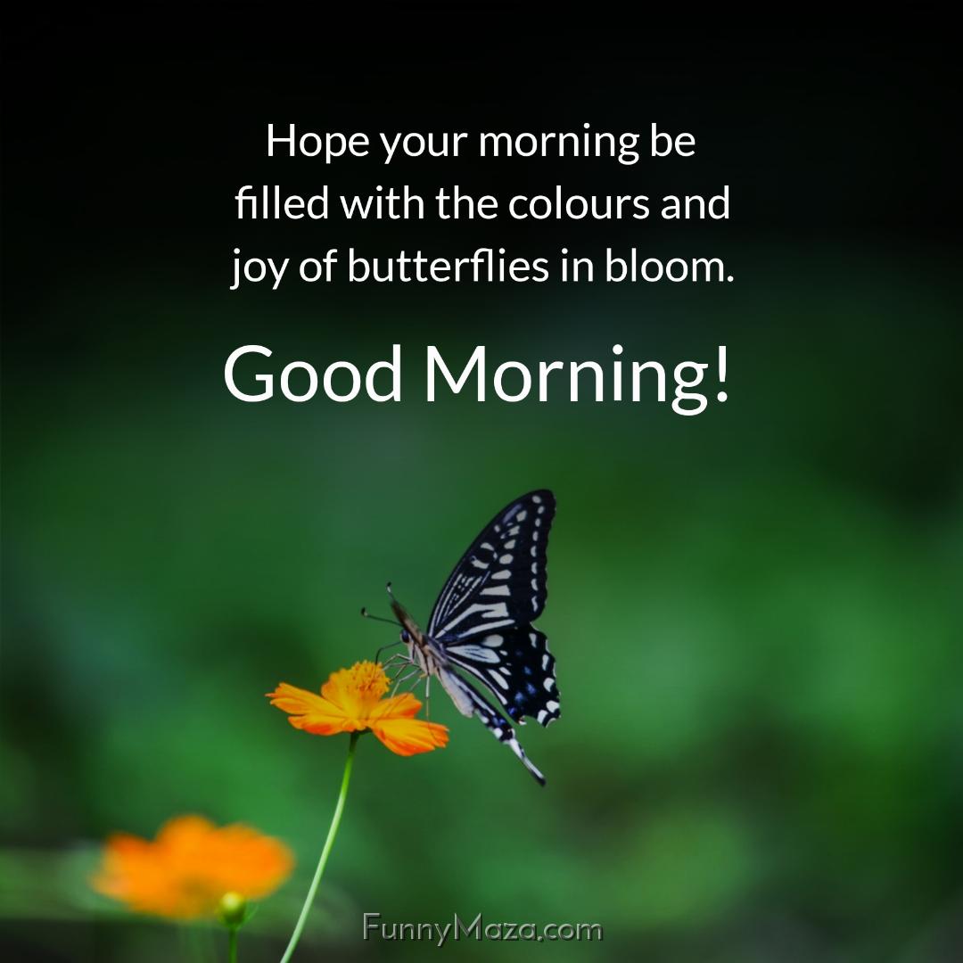 Hope your morning be filled with the colours and joy of