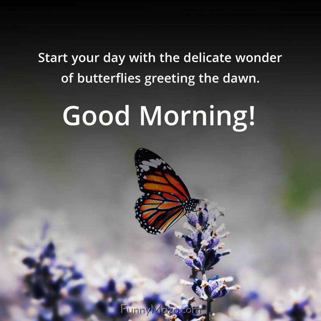 Start your day with the delicate wonder of butterflies greeting the