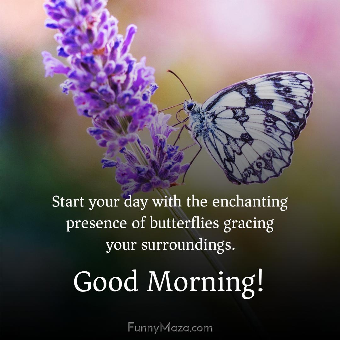 Start your day with the enchanting presence of butterflies gracing your