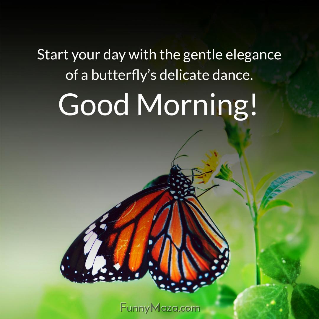 Start your day with the gentle elegance of a butterfly’s delicate