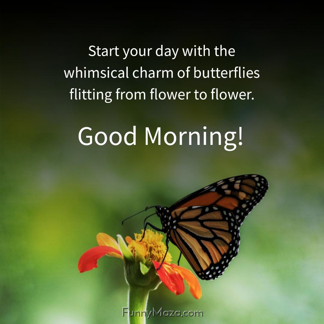 Start your day with the whimsical charm of butterflies flitting from