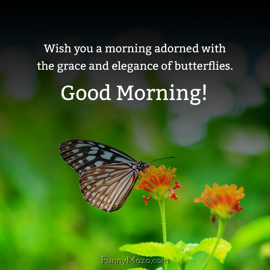 Wish you a morning adorned with the grace and elegance of