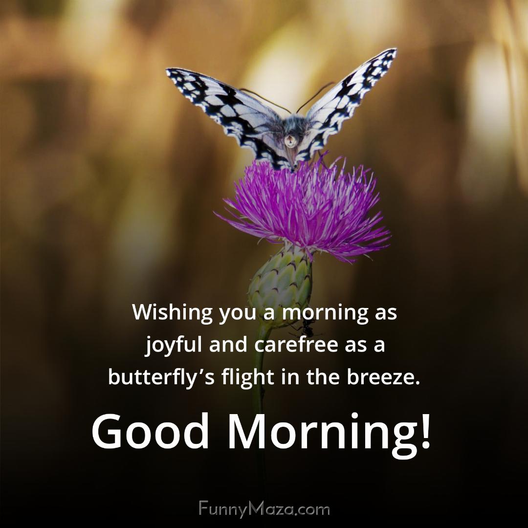 Wishing you a morning as joyful and carefree as a butterfly’s