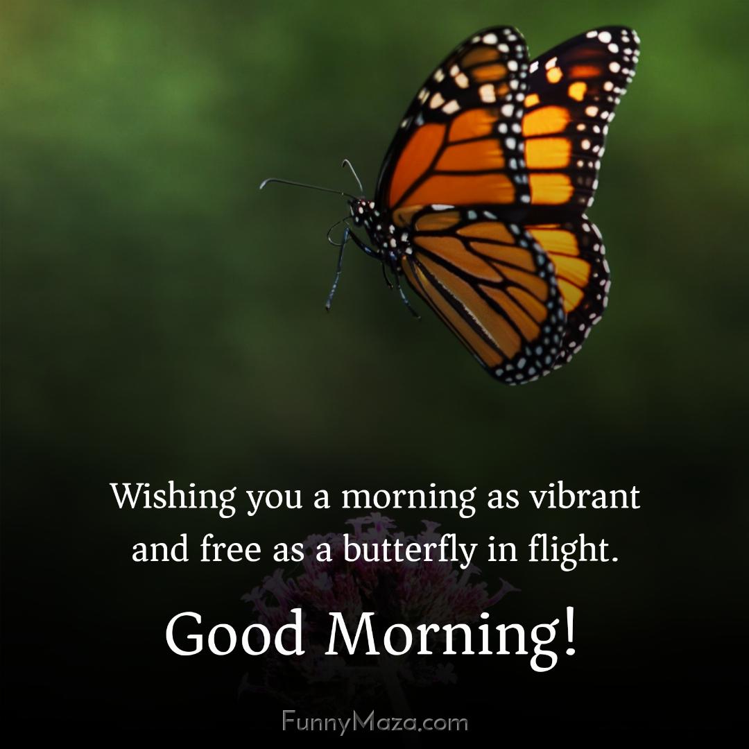 Wishing you a morning as vibrant and free as a butterfly