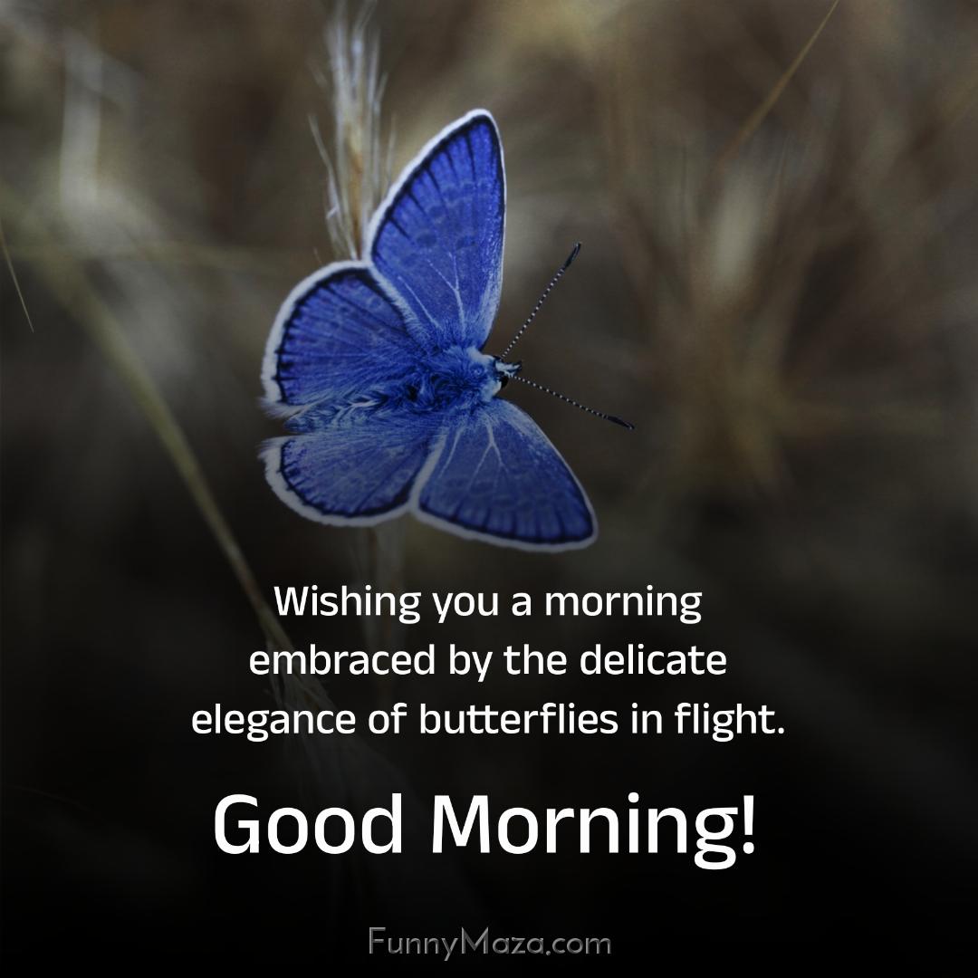 Wishing you a morning embraced by the delicate elegance of butterflies