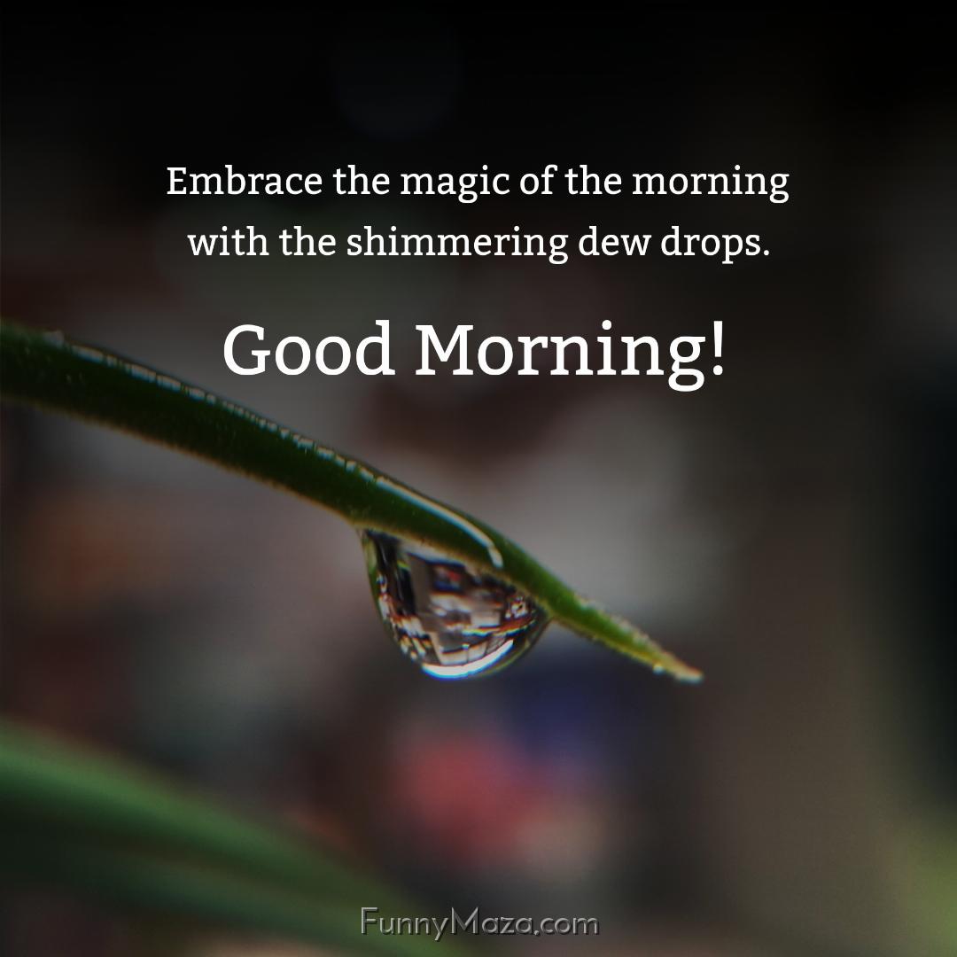 Embrace the magic of the morning with the shimmering dew drops